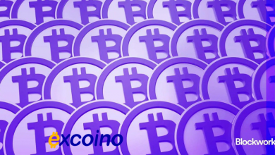 آیا بیتکوین با رسیدن به ۱۰۰ هزار دلار شکرگزاری متفاوتی رقم میزند؟