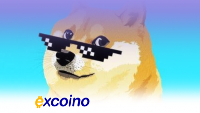 جهش قیمت Dogecoin بر اثر شایعات جدید درباره سرویس پرداخت X پس از توییت ایلان ماسک