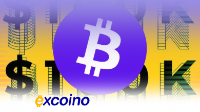 آیا بیتکوین پس از رسیدن به ۱۰۰ هزار دلار سقوط خواهد کرد؟