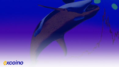 فروش ۷۲۸,۰۰۰ بیتکوین توسط هولدرهای بلندمدت در ۳۰ روز گذشته