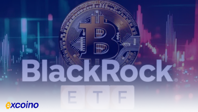 شرکت BlackRock سهم خود را در ETF بیتکوین IBIT به 77 میلیون دلار افزایش داد