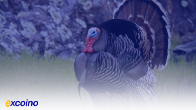 افت بیتکوین به 91 هزار دلار و مقایسه با "مذبحه روز شکرگزاری" 2020