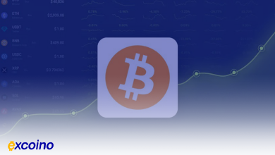 بیتکوین در مسیر صعود: آیا هدف ۱۰۶,۰۰۰ دلار تا دسامبر ۲۰۲۴ محقق میشود؟