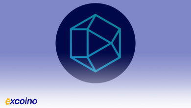 ارز زی کی نتورک با نام اختصاری ZKJ در اکسکوینو لیست شد