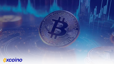 بیتکوین روی مرز حساس ۹۲,۵۰۰ دلار؛ آیا صعود به ۱۰۰ هزار نزدیک است؟