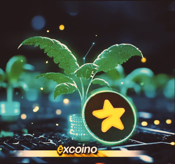 چطور میجر را نقد کنیم