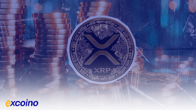 خرید ۱۲۰ میلیون XRP توسط نهنگها در زمان افت قیمت!