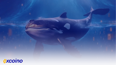 انتقال بزرگ اتریوم توسط نهنگها؛ اصلاح قیمت در راه است؟