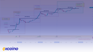 هدف بیت‌کوین در 2025، از 175 هزار تا 461 هزار دلار؟