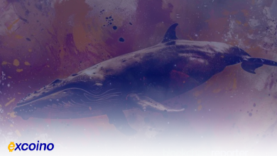 یک نهنگ کریپتویی 20 میلیون دلار اتریوم خریداری کرد پس از کاهش قیمت