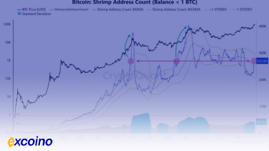 رشد آدرس‌های کوچک بیت‌کوین نشانه‌ای از اعتماد سرمایه‌گذاران خرد