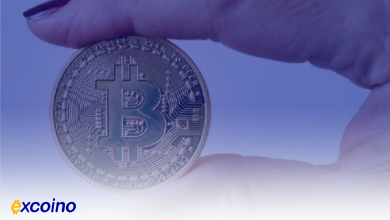 دیوار حمایتی قدرتمند بیتکوین: کلید جهش صعودی بعدی؟
