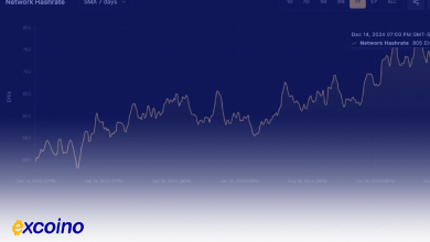 بیت‌کوین رکورد زد، هش‌ریت شبکه به 800 EH/s رسید و BTC به دنبال بالاترین قیمت‌های جدید است