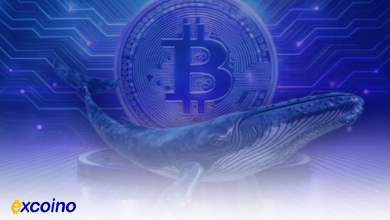 بیداری نهنگ بیتکوین، انتقال ۵۳۰ میلیون دلار به دو آدرس جدید
