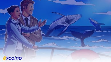 104 کیف پول نهنگ 57٪ از تمام اتر موجود را در اختیار دارند