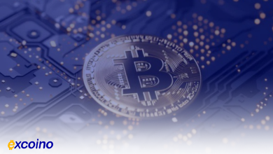 آیا بیتکوین میتواند اوجهای جدیدی را فتح کند یا سقوط نقدینگی در راه است؟