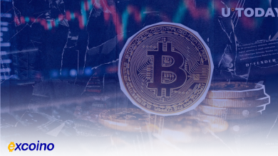 جابجایی ۸۱۸ میلیون دلار بیتکوین بین کیفپولهای ناشناس