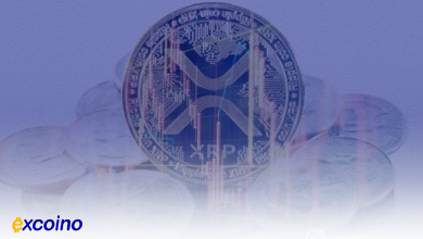 انتقالات نهنگهای ریپل (XRP) توجه سرمایهگذاران را جلب میکند و قیمتها افزایش مییابد