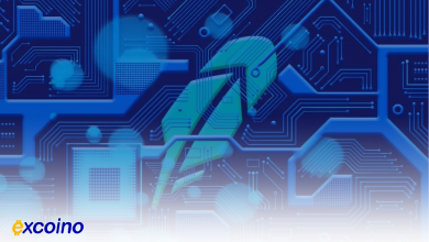 رابینهود و بیت‌کوین، برنامه‌ای برای نگهداری نداریم!