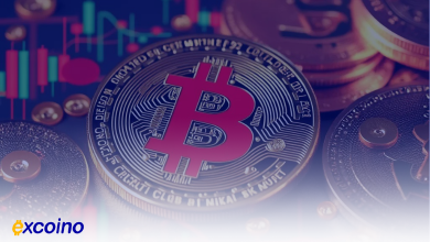 بررسی دو معیار مهم آنچین در بیتکوین توسط Alphractal