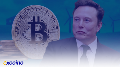 آیا تسلا پرداخت با بیتکوین را بازمیگرداند؟