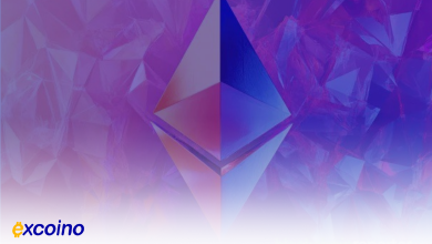 اتریوم در صدر، معرفی ۱۵ بلاکچین برتر از نظر درآمد در 2024