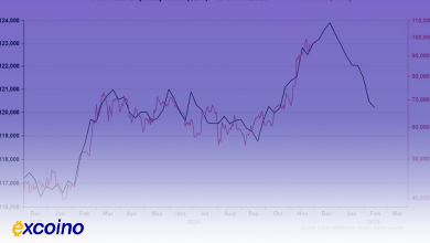 روند صعودی بیتکوین؛ پیشبینی سقف ۱۱۰ هزار دلاری تا ژانویه ۲۰۲۵