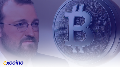 چارلز هاسکینسون پیشبینی میکند بیتکوین میتواند در دو سال به ۵۰۰ هزار دلار برسد؛ آن را به طلا برای اینترنت تشبیه کرد