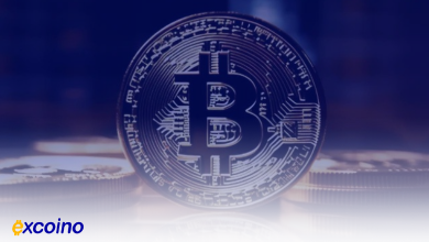 بازگشت بیتکوین به اوج؛ عبور از ۹۷ هزار دلار با وجود کاهش سهم بازار