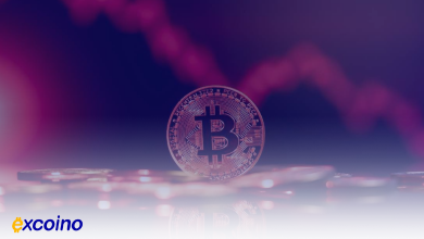 هشدار رابرت کیوساکی: احتمال سقوط بیتکوین به ۶۰ هزار دلار