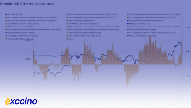 بیتکوین در آستانه عبور از ۱۰۰ هزار دلار؛ توقف فروش توسط هولدرهای بلندمدت