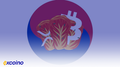 سقوط شدید بیتکوین و XRP در کره جنوبی؛ تاثیر مستقیم اعلام وضعیت اضطراری