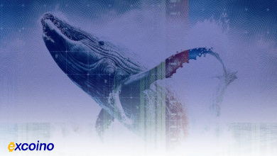 حرکت نهنگ‌ها؛ فشار فروش در آلت‌کوین‌ها؟