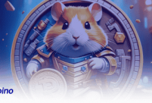 نحوه محاسبه قیمت همستر