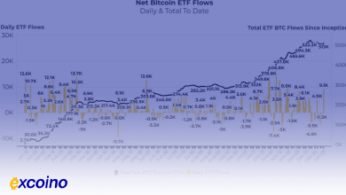 صندوق های ETF بیتکوین؛ تقاضای ۳ برابری نسبت به تولید در دسامبر!