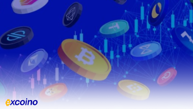 افزایش تعداد هولدرها در اتریوم، دوجکوین، کاردانو و XRP