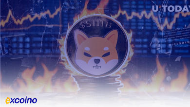 افزایش 300 درصدی نرخ توکن سوزی SHIB اما ارتش SHIB خواهان سوزاندن بیشتر است