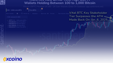 رکورد جدید کیف‌پول‌های "کوسه" بیت‌کوین؛ نشانه‌ای صعودی برای 2025؟   