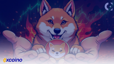 شیبا اینو؛ امیدهای بلندمدت در میان نوسانات کوتاهمدت