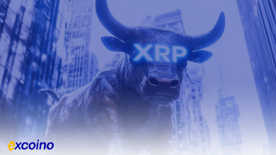 چه کسانی بیشترین XRP را دارند؟