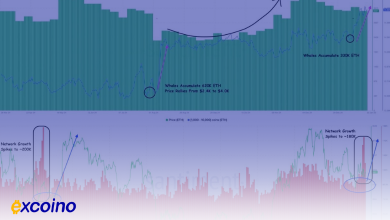 چرا قیمت اتریوم بالای ۳,۱۰۰ دلار حفظ میشود در حالی که سولانا ۲۲٪ سقوط کرد؟