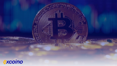 پایان چرخه‌های چهار‌ساله در بیت‌کوین؟ آیا بازار کریپتو وارد دوره‌ای جدید شده است؟