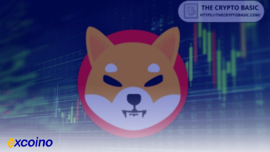 آیا شیبا اینو میتواند به ۱ دلار برسد؟ میزان توکنسوزی موردنیاز برای رسیدن به ۵۰۰ میلیارد دلار ارزش بازار