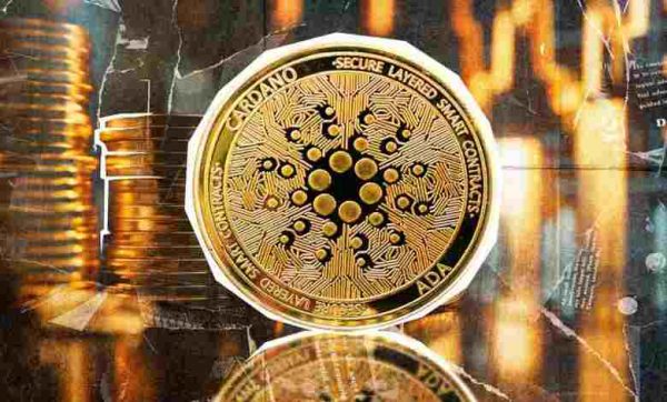 انتخاب صرافی معتبر برای خرید و فروش کاردانو