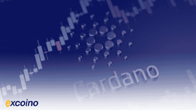 استیک کاردانو