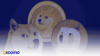 شبکه انتقال دوج کوین