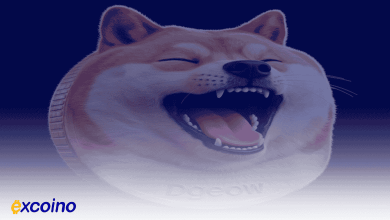 دوج کوین و شوخی اینترنتی