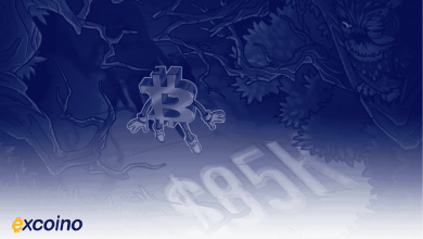 آیا بیتکوین به کف قیمتی رسیده است؟ یا فقط یک جهش کوتاهمدت است؟