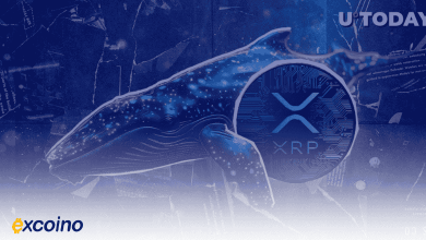 هشدار نهنگ XRP: انتقال ۱۵۰ میلیون XRP در چند دقیقه!