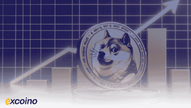 استیکینگ دوج کوین
